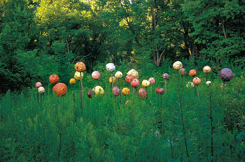 Doe Lake Tree Museum Gravenhurst Muskoka Ontario