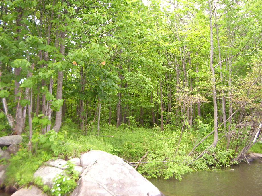 Trent Severn Waterway Land Parcel Property For Sale