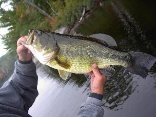 Sunny Lake Gravenhurst Muskoka Fishing