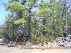 Sunny Lake Gravenhurst Muskoka Property Corner View From Road
